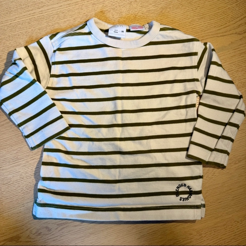 Zara Kids Green and White Striped Long Sleeve Tee 18M